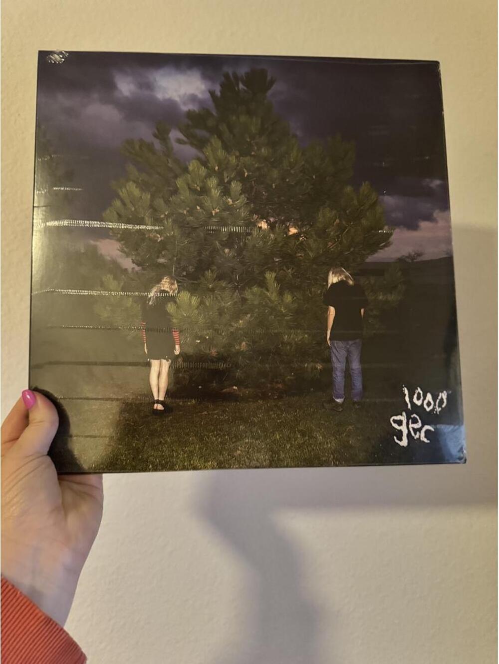 100 gecs 1000 gecs 2019 Original Pressing Black Vinyl LP SEALED